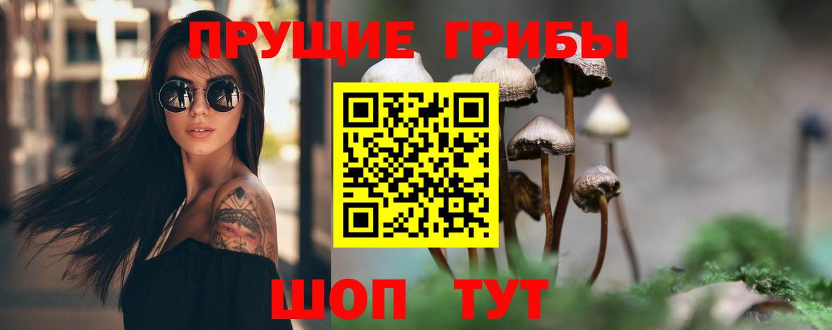 Галлюциногенные грибы прущие грибы Ливны